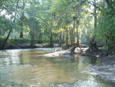 Spring Creek at Miller County